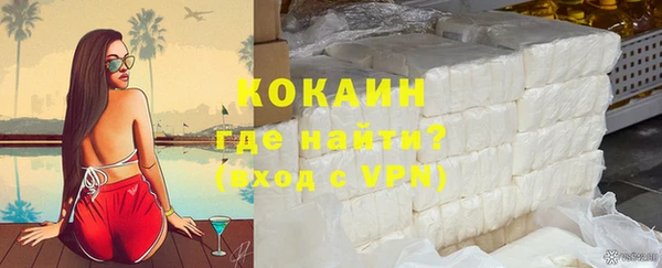 шишки Наволоки