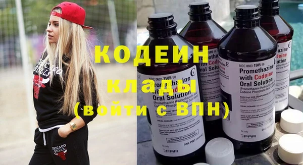 шишки Наволоки