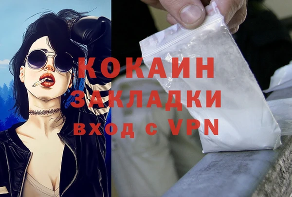 шишки Наволоки
